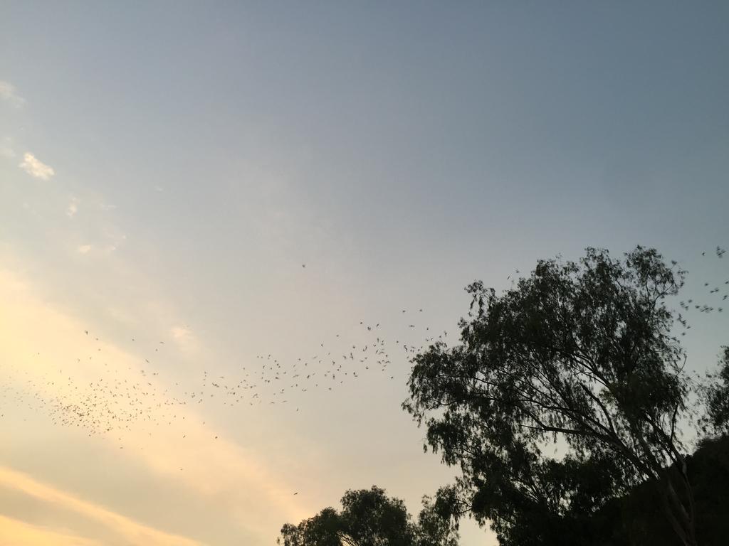 홈타운 호스텔 Samut Songkhram 외부 사진